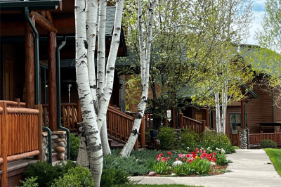3457 Spring Valley Drive