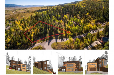 36885 Tree Haus Drive
