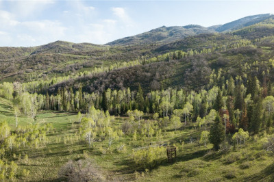 34500 Panorama Drive