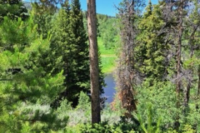 32416 Ute Trail