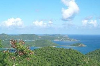 6345-46-47 Carolina 1