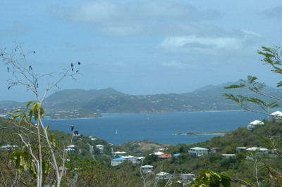 3b-20 Sans Soucci & Guinea Gut 1