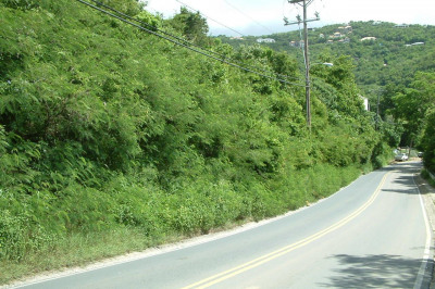 481-1 Chocolate Hole 1