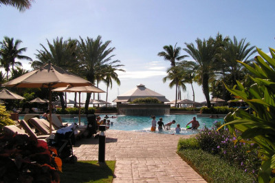 479 Chocolate Hole #4313 1