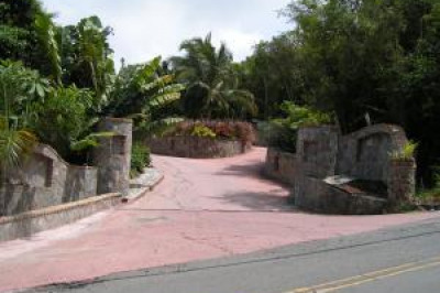 3b-61 Sans Soucci & Guinea Gut 1