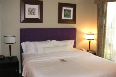 479 Chocolate Hole #3119 1