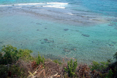 6c-1b-2 St. Quaco & Zimmerman 1