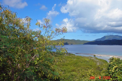 6b-31 St. Quaco & Zimmerman 1