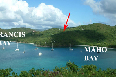 3g-3 Abrahams Fancy 1