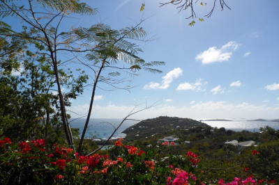 459 Chocolate Hole 1