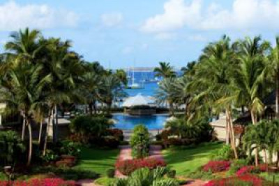 479 Chocolate Hole #3221 1