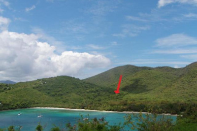 3a-10 Abrahams Fancy 1