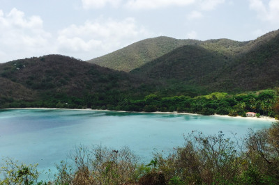 3a-8 Abrahams Fancy 1