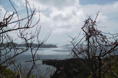 28b-2a Calabash Boom 1