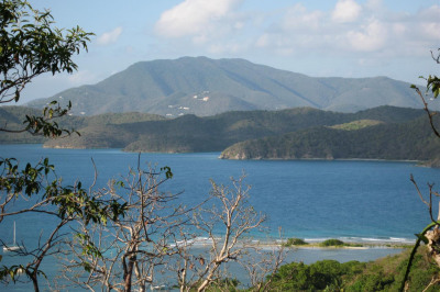 6a-1-4 Rem St. Quaco & Zimmerman 1