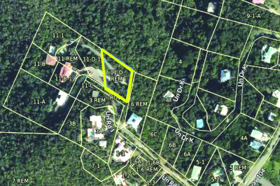 11-d Rem Glucksberg 1