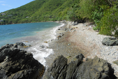 2a & 2b Saunders Gut 1