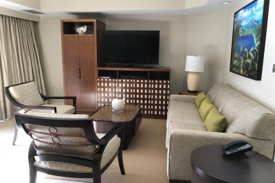 479 Chocolate Hole #4314 1