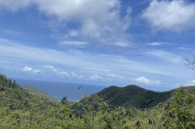 20-2-b #1 Carolina 1