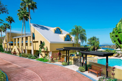 479 Chocolate Hole #3213 3212 1