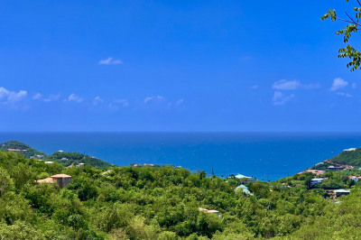 3b-96 Sans Soucci & Guinea Gut 1