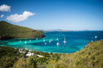 3a-8 Abrahams Fancy 1