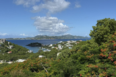 9-7 Enighed #Hibiscus 1