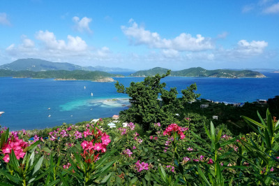 6a-4 St. Quaco & Zimmerman 1