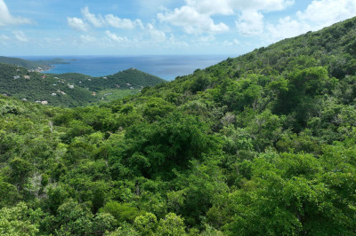 L-a Rem Gift & Regenback 1