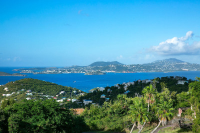 3b-62 Sans Soucci & Guinea Gut 1