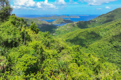 8-4-10 Rem Carolina 1