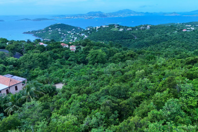 4-72 Sans Soucci & Guinea Gut 1