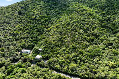 6-s Rem Ben Runnels Gut 1