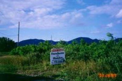 238 Enfield Green Pr 1