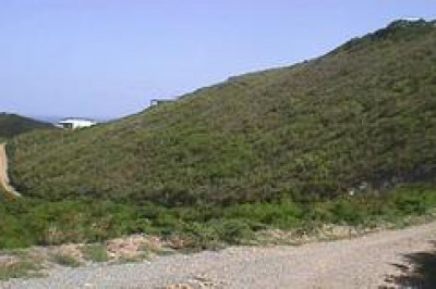 58 North Grapetree Eb 1