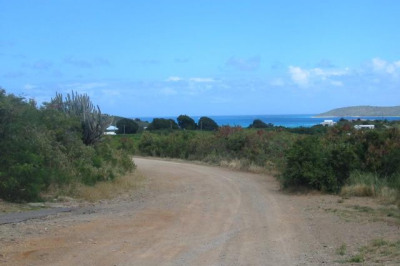 27 Yellow Cliff Eb 1