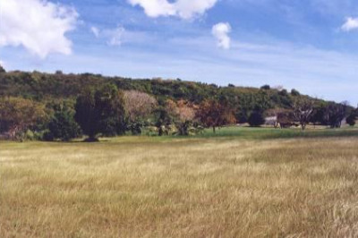 155 Mary's Fancy Qu 1