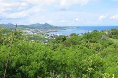 17 Eliza's Retreat Ea 1