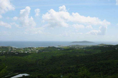 15 Eliza's Retreat Ea 1