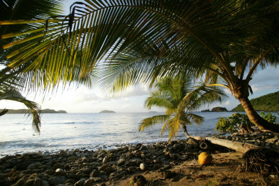 4-10 Botany Bay We 1