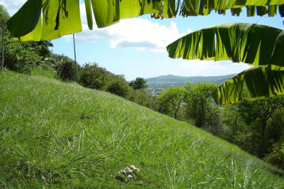 202 Morningstar Qu 1