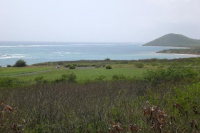 19 Wood Cottage Eb 1