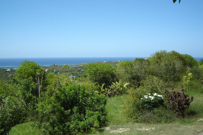 202 Morningstar Qu 1