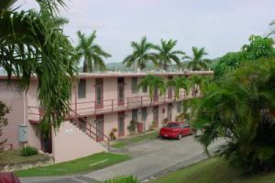25 Orange Grove Co 1