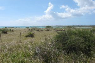 38 Rem. Carlton We 1