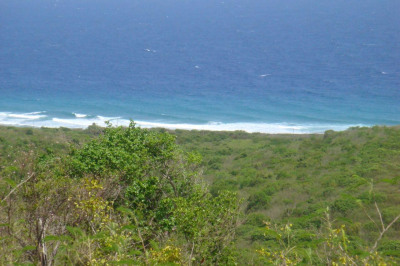 Rem. 72l Clairmont Nb 1