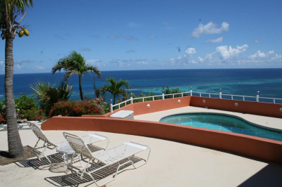 50 North Grapetree Eb 1