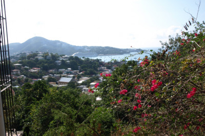 14 Agnes Fancy Gns 1