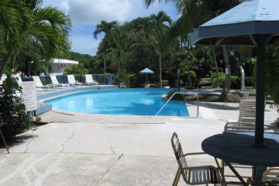 81 Orange Grove Co 1