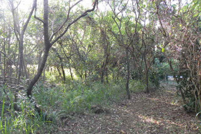 301 Cotton Valley Eb 1